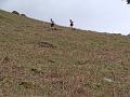 Coniston Race May 10 029